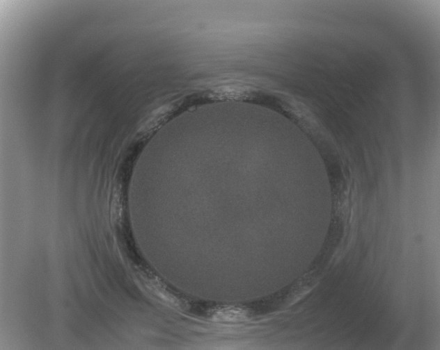X0000081350599200701182049