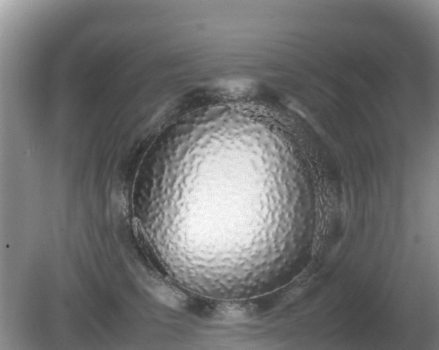 X0000081350613200701182048