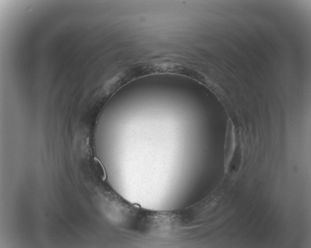 X0000081350615200701182048