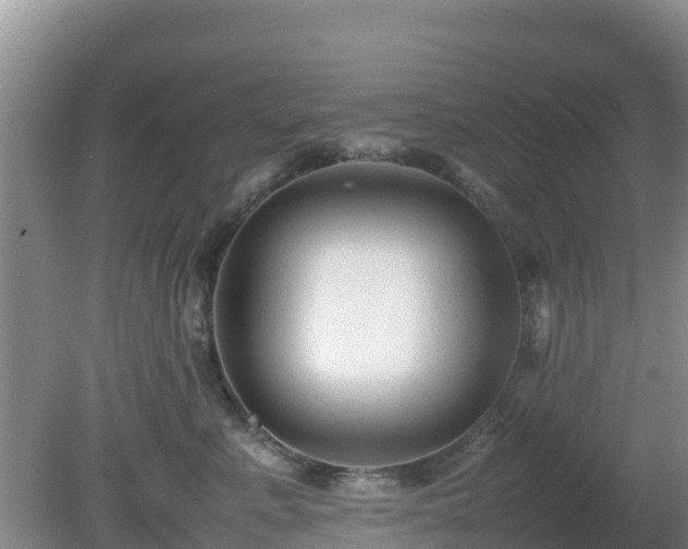 X0000081350619200701182048