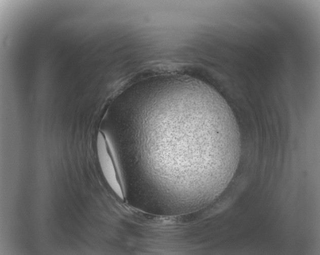 X0000081350624200701182048