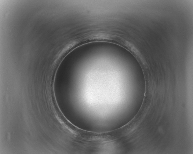 X0000081350625200701182047