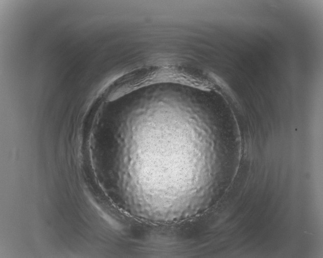 X0000081350627200701182047
