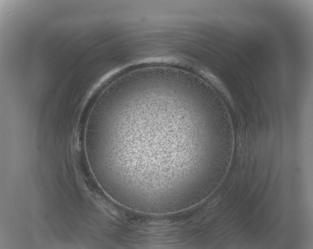 X0000081350628200701182047