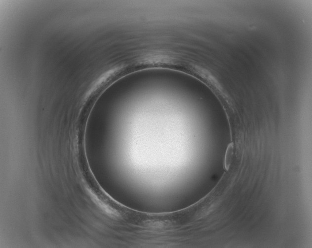 X0000081350629200701182047