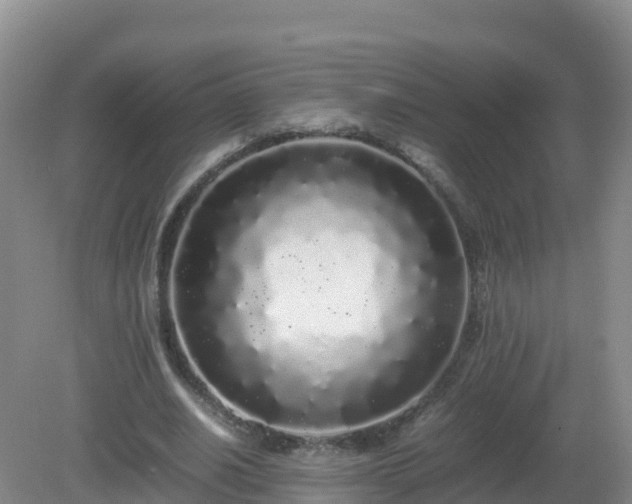 X0000081350630200701182047