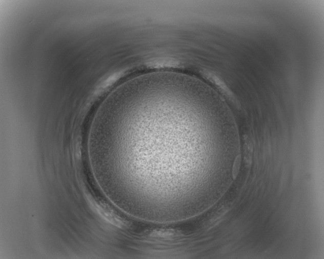 X0000081350631200701182047