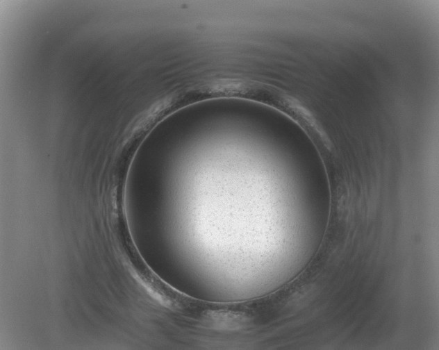 X0000081350633200701182047