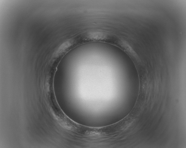 X0000081350635200701182047