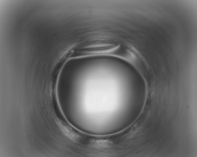 X0000081350637200701182048