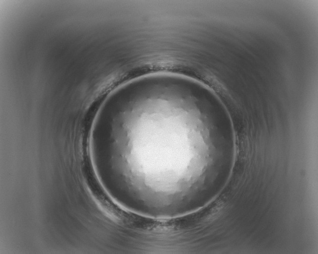X0000081350638200701182048