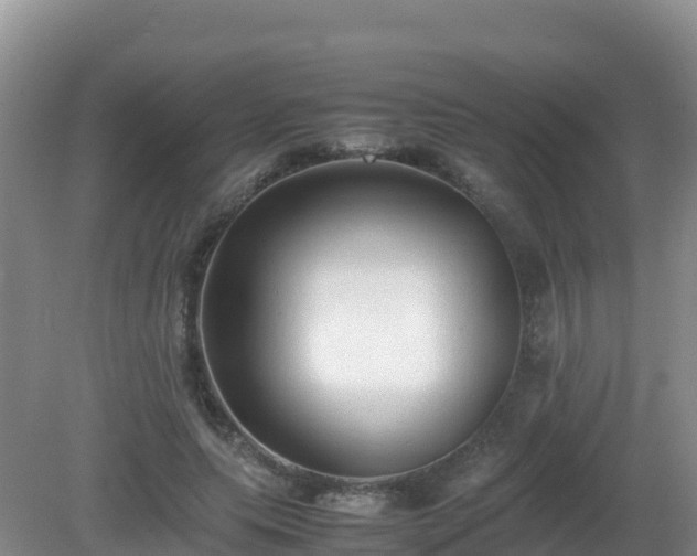 X0000081350639200701182048