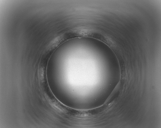 X0000081350646200701182048