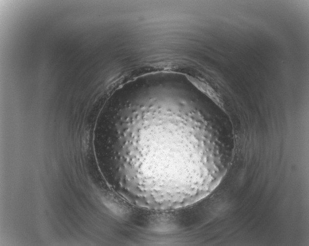 X0000081350652200701182048