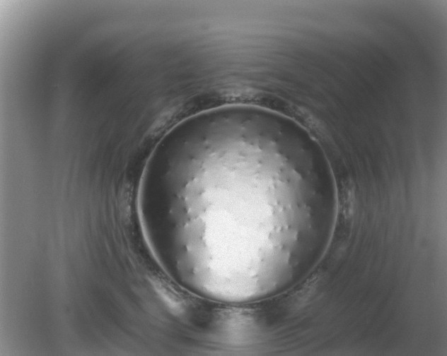 X0000081350664200701182048