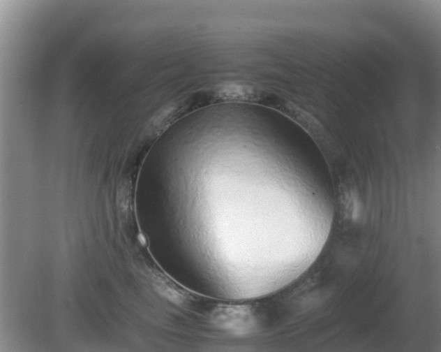 X0000081350665200701182048