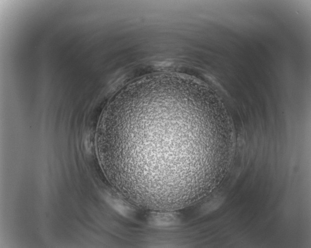 X0000081350671200701182048