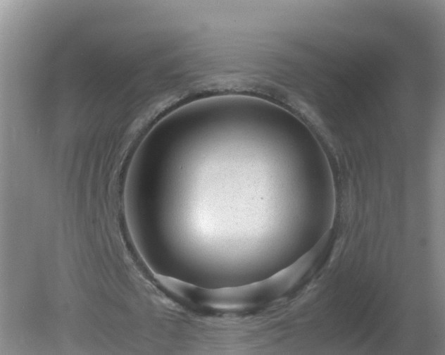 X0000081350673200701182047