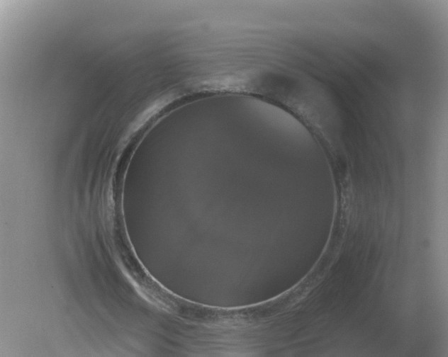 X0000081350674200701182047