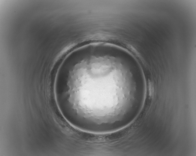 X0000081350675200701182047