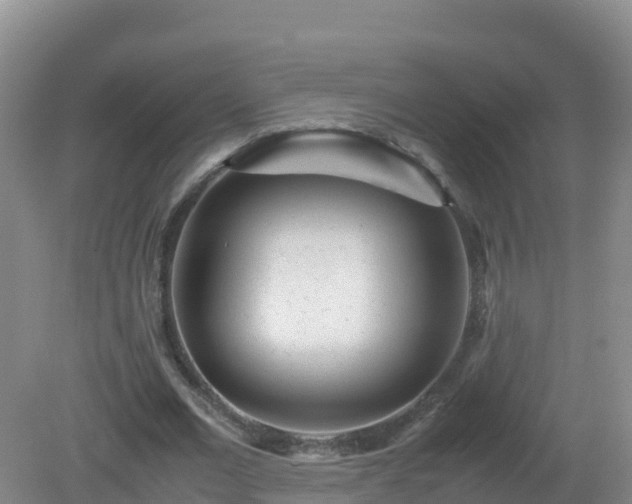 X0000081350677200701182047