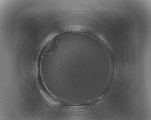 X0000081350678200701182047