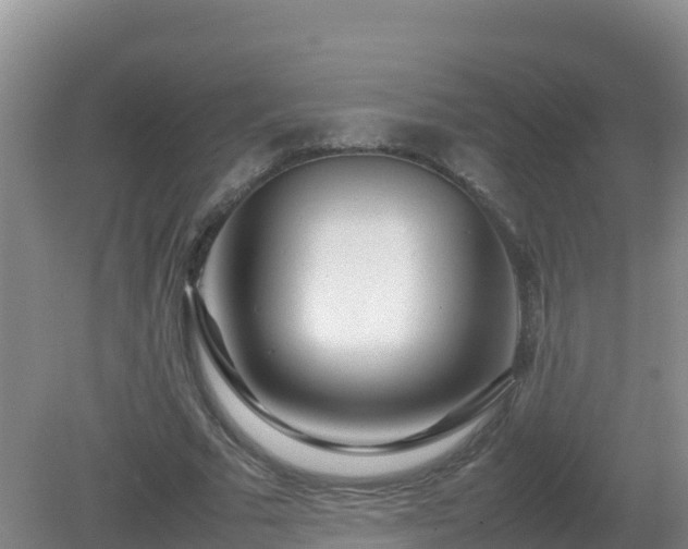 X0000081350681200701182047