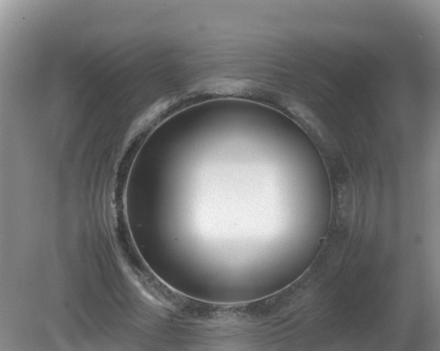 X0000081350682200701182047