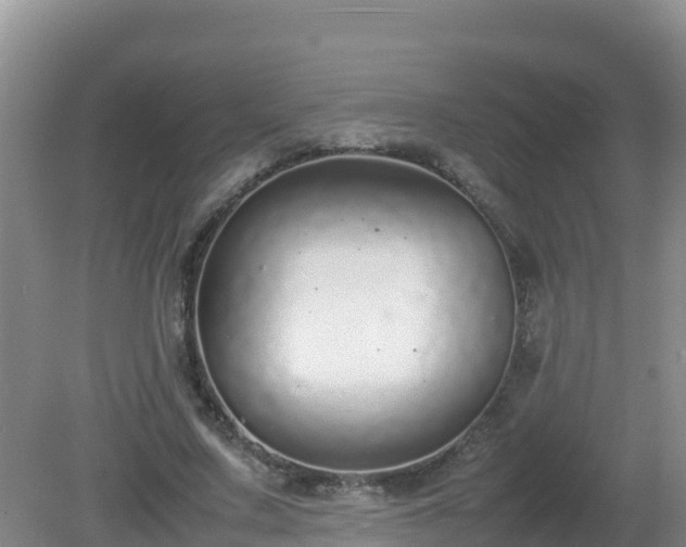 X0000081350683200701182047