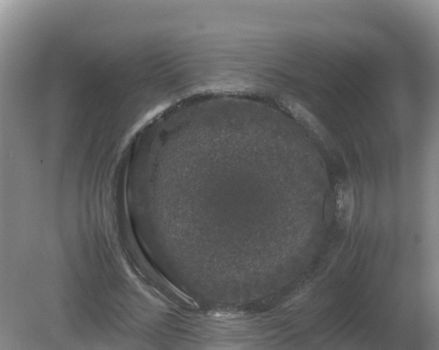 X0000081350684200701182047