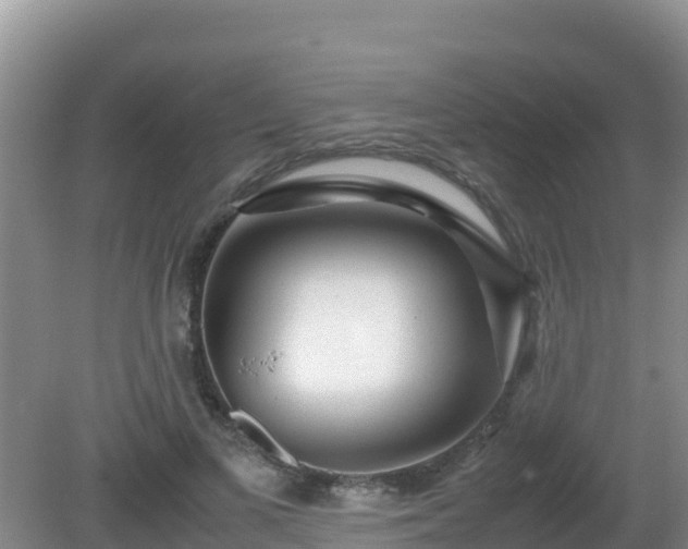 X0000081350693200701182047