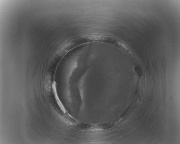 X0000081350696200701182047