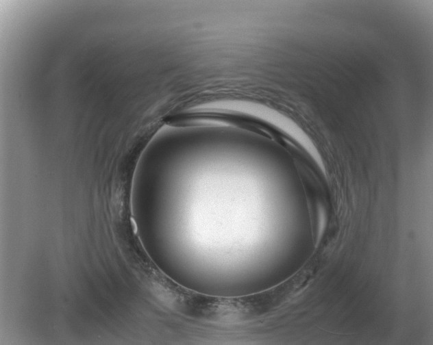 X0000081350697200701182047