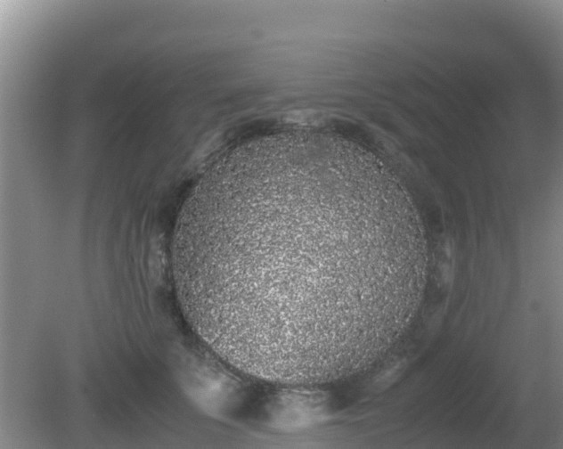 X0000081350707200701182047