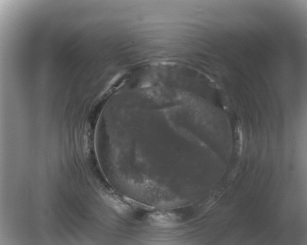 X0000081350712200701182047