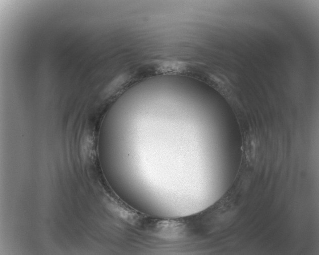 X0000081350714200701182047