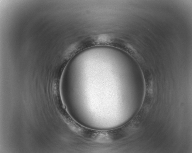 X0000081350715200701182047