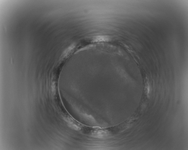 X0000081350716200701182047