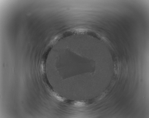 X0000081350718200701182047