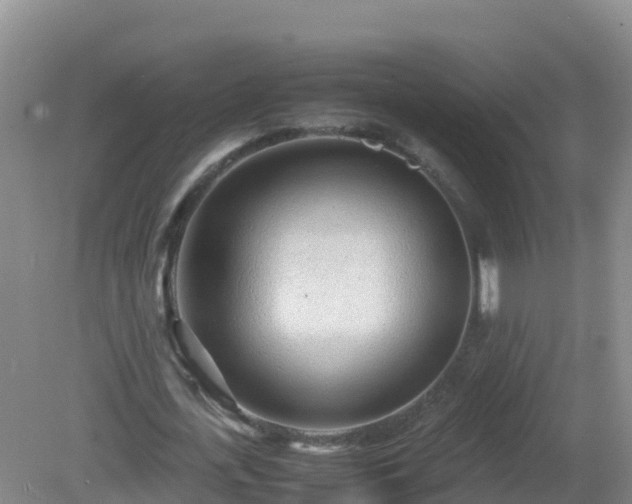 X0000081350723200701182046