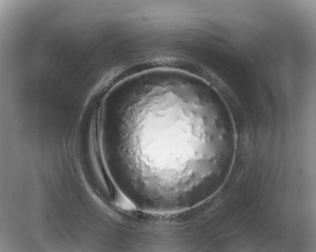 X0000081350734200701182046