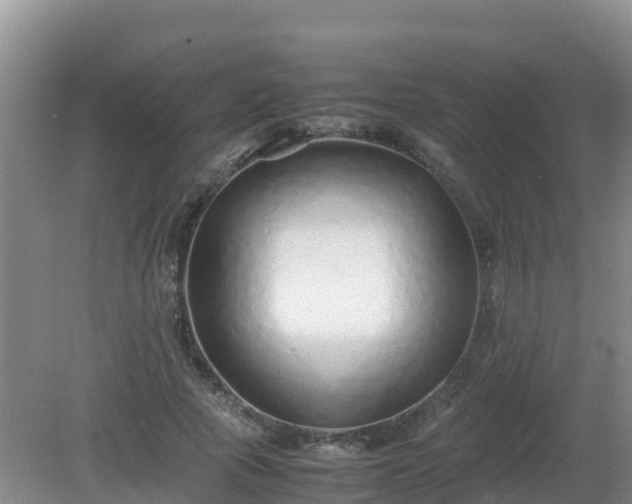 X0000081350737200701182046