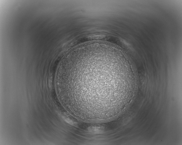 X0000081350745200701182046