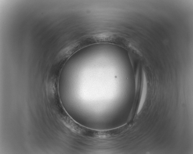 X0000081350746200701182046