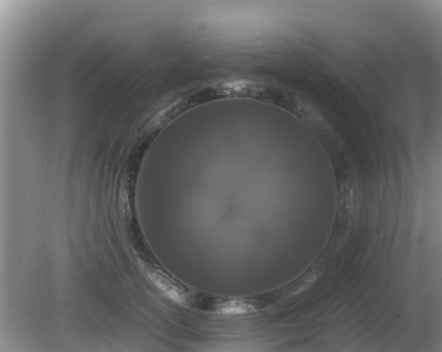 X0000081350754200701182046