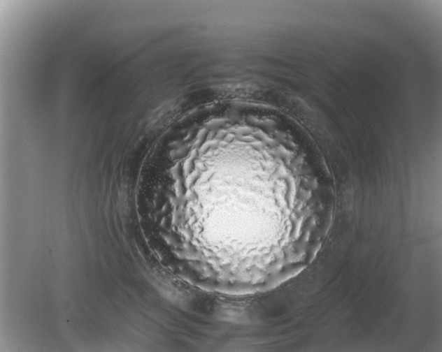 X0000081350757200701182046