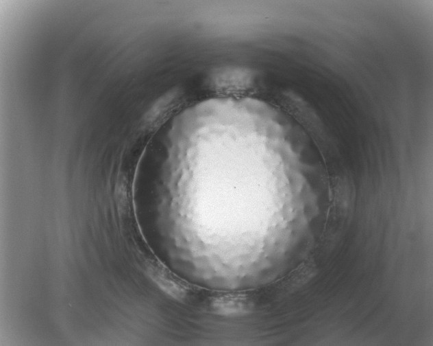 X0000081350761200701182046