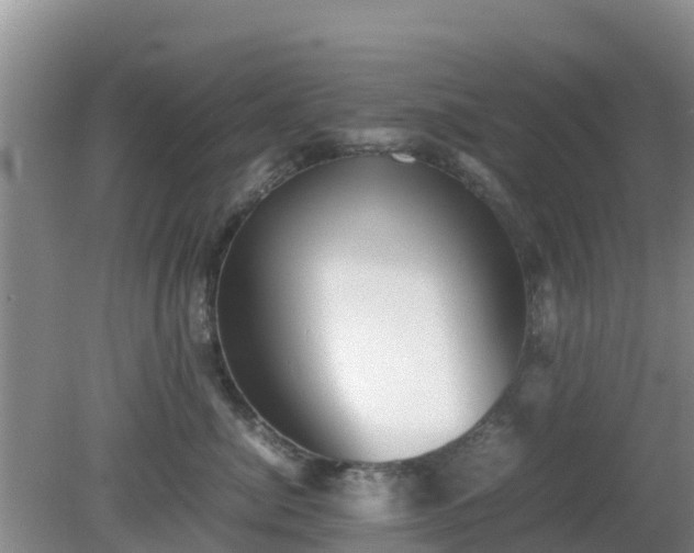 X0000081350764200701182046