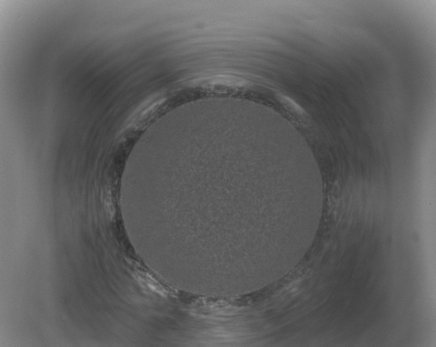 X0000081350774200701182046