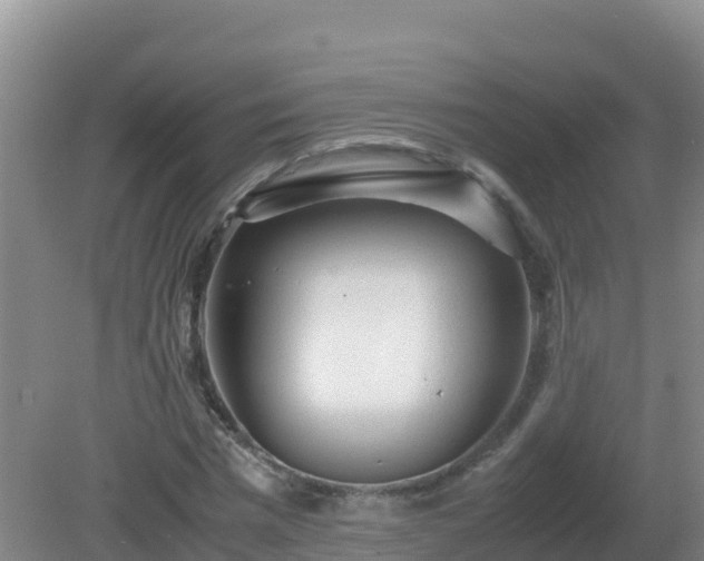 X0000081350777200701182046